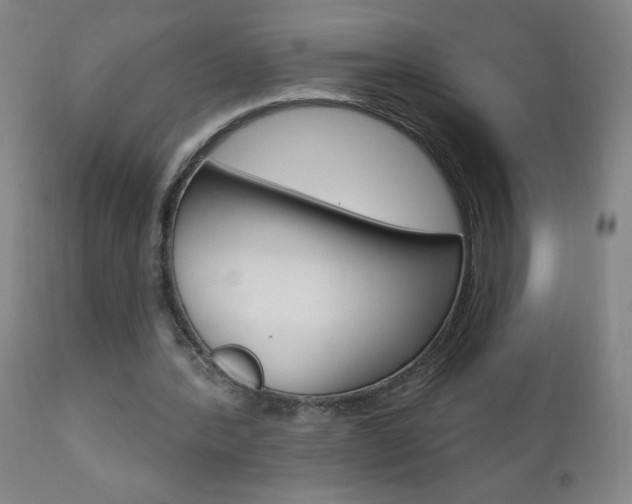X0000110940388200906191055