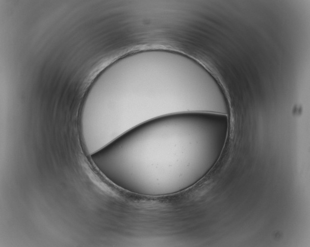 X0000110940389200906191055