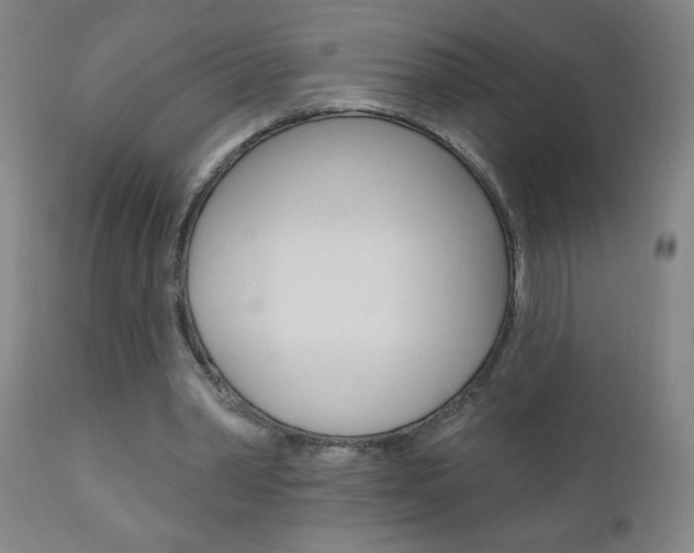 X0000110940390200906191055
