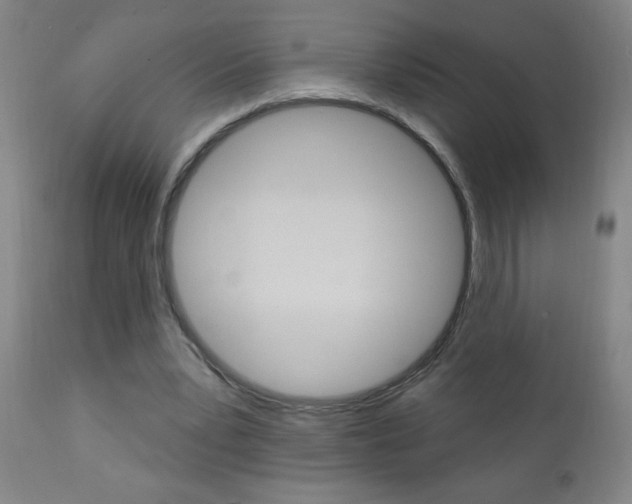 X0000110940391200906191055