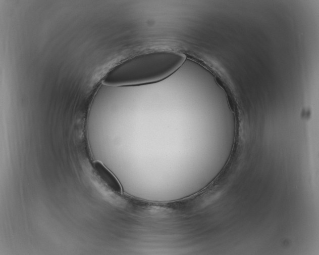 X0000110940393200906191055