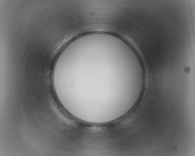 X0000110940394200906191055