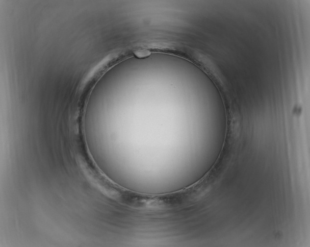 X0000110940395200906191055