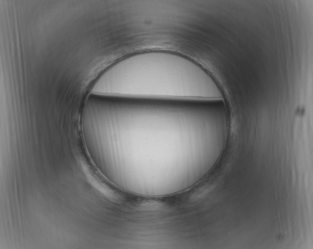 X0000110940397200906191055