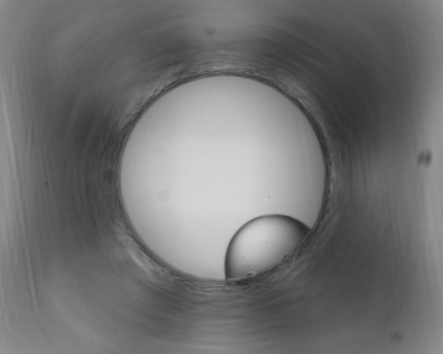 X0000110940401200906191055