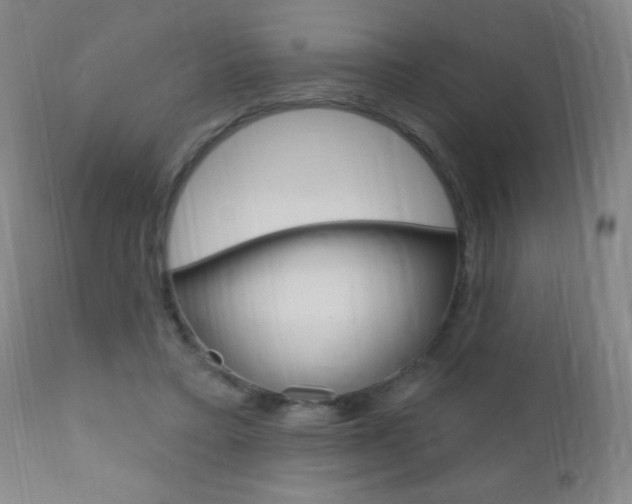 X0000110940403200906191055