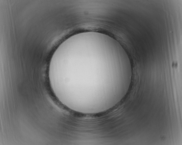X0000110940404200906191055