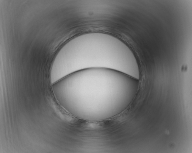 X0000110940405200906191055