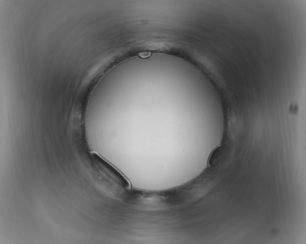 X0000110940407200906191055