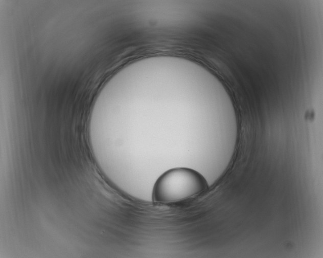 X0000110940409200906191055