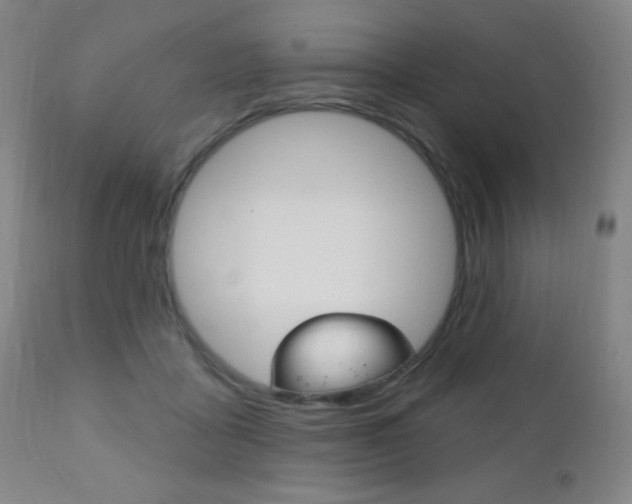 X0000110940411200906191055