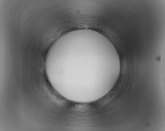 X0000110940414200906191055
