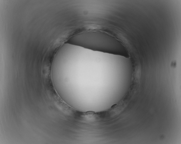 X0000110940417200906191055