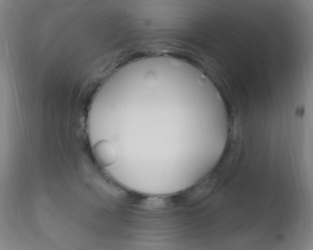 X0000110940418200906191055