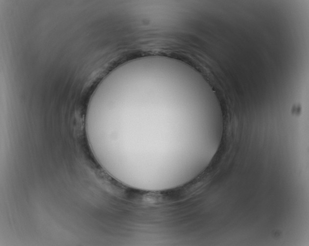 X0000110940420200906191055