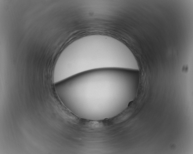 X0000110940421200906191055