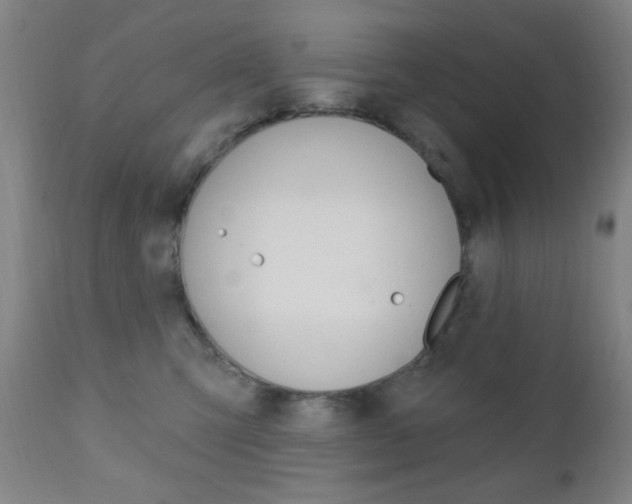 X0000110940423200906191055