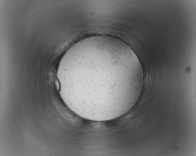X0000110940424200906191055