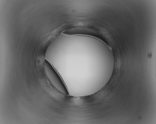 X0000110940425200906191055