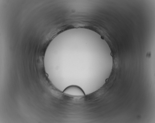 X0000110940426200906191055