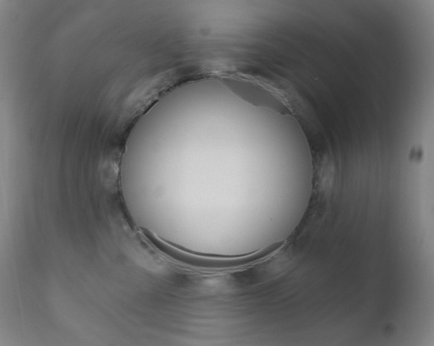 X0000110940427200906191055