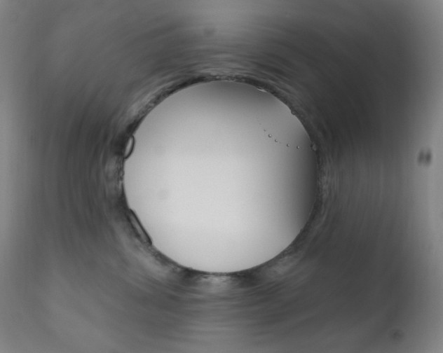 X0000110940428200906191055