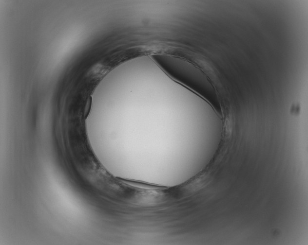 X0000110940429200906191055