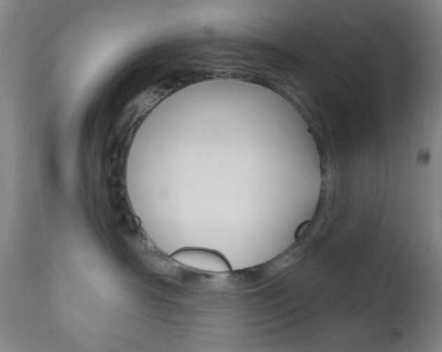 X0000110940430200906191055