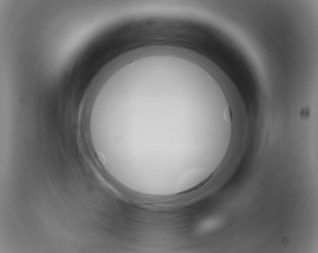 X0000110940431200906191054