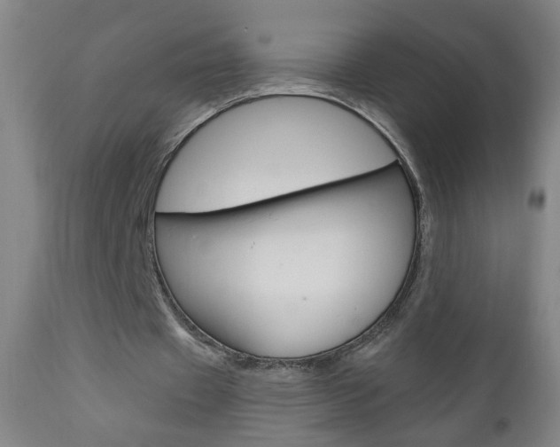 X0000110940433200906191054