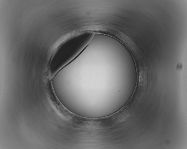 X0000110940436200906191054
