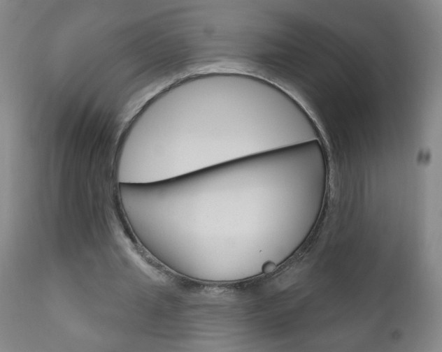 X0000110940437200906191054