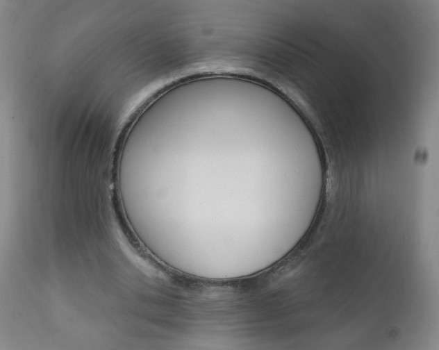 X0000110940438200906191054