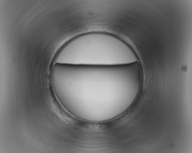 X0000110940439200906191054