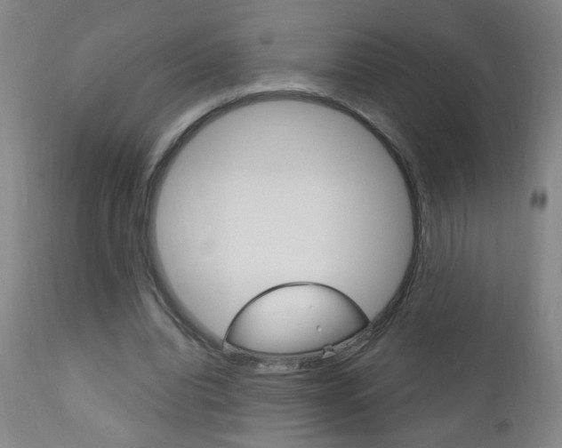 X0000110940440200906191054