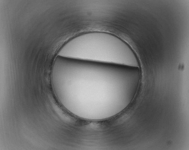 X0000110940441200906191054
