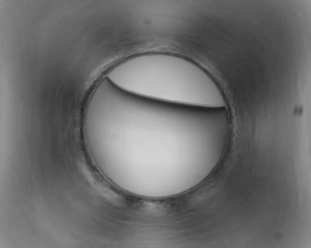 X0000110940442200906191054