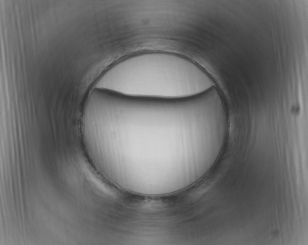 X0000110940445200906191054