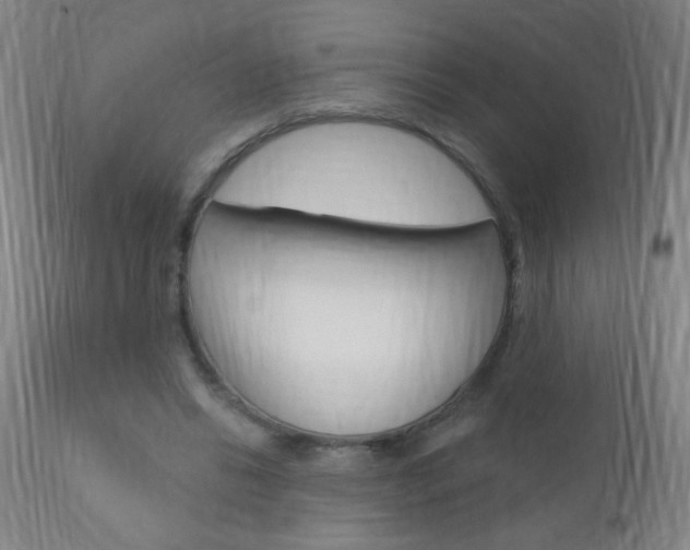 X0000110940446200906191054