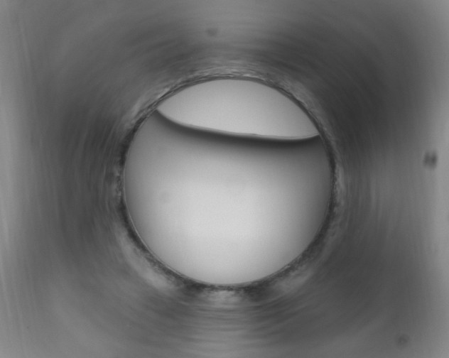 X0000110940449200906191054