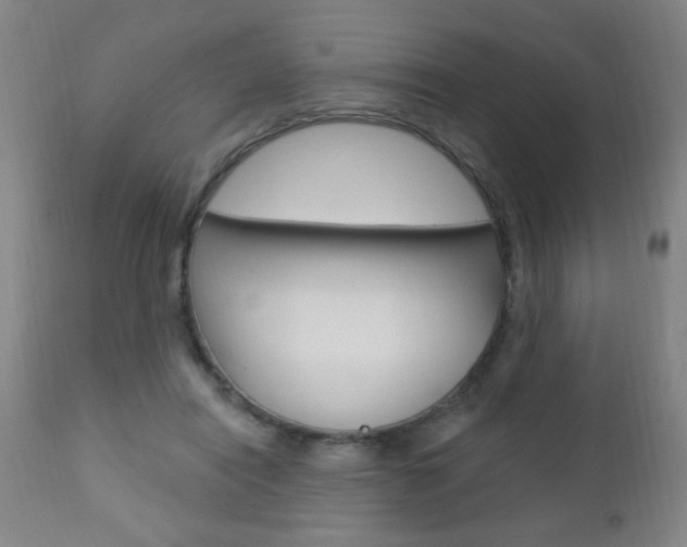 X0000110940454200906191054