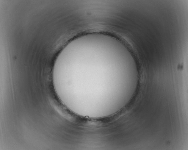X0000110940455200906191054