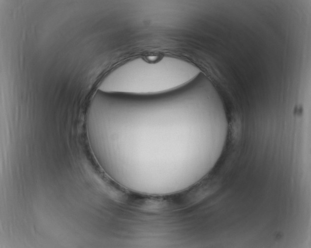 X0000110940458200906191054