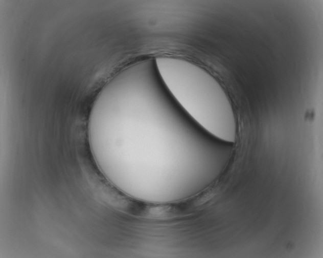 X0000110940461200906191054