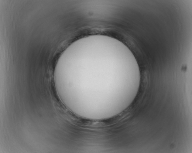 X0000110940463200906191054