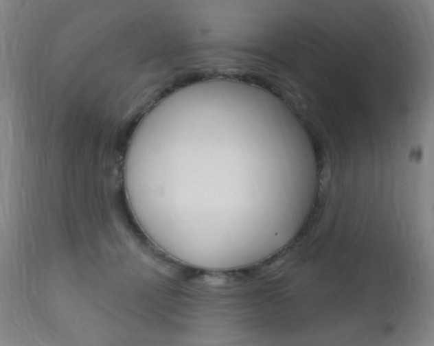 X0000110940464200906191054