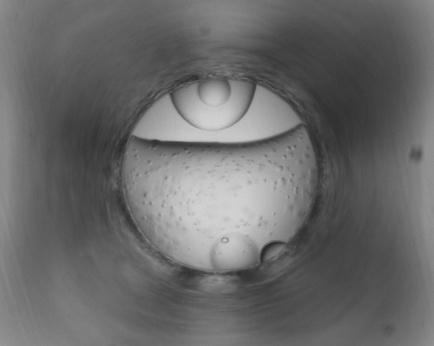 X0000110940465200906191054