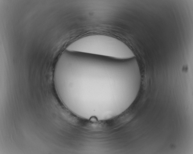 X0000110940466200906191054