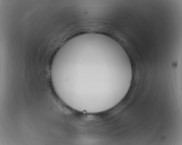 X0000110940467200906191054