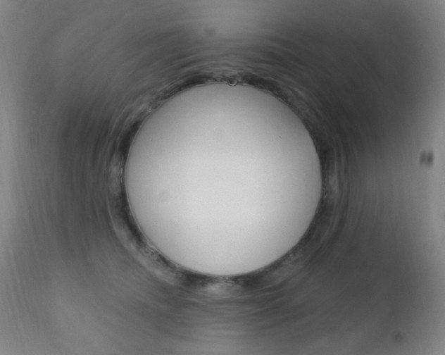X0000110940468200906191054